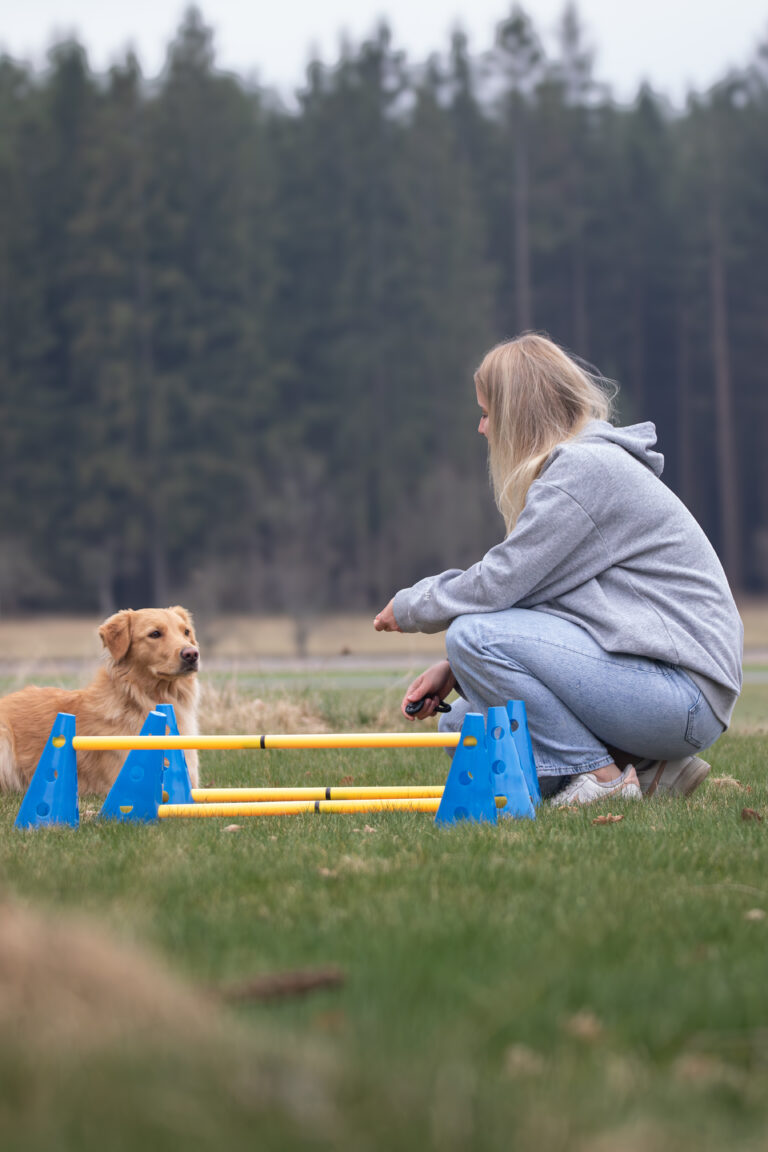 Bewegungstraining Waldviertel
