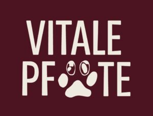 Vitale Pfote