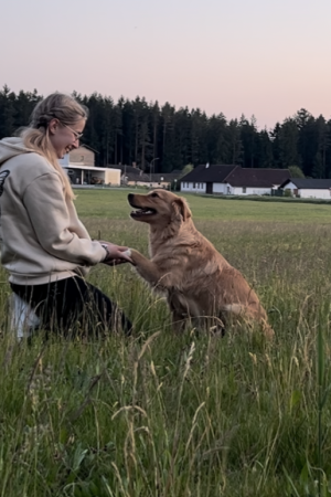 Tierkommunikation