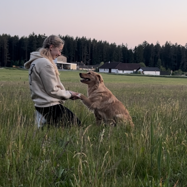 Tierkommunikation