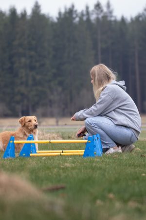 Bewegungstraining Waldviertel