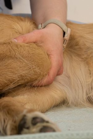 Lymphdrainage