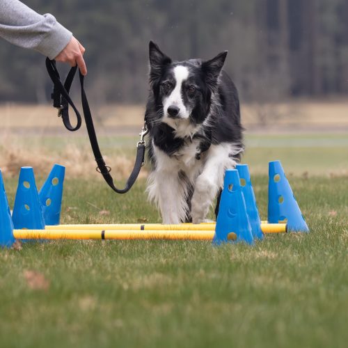 Training IsiBalance