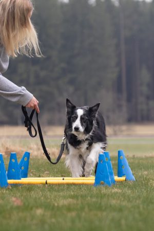 Training IsiBalance