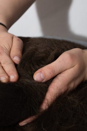 Massage IsiBalance