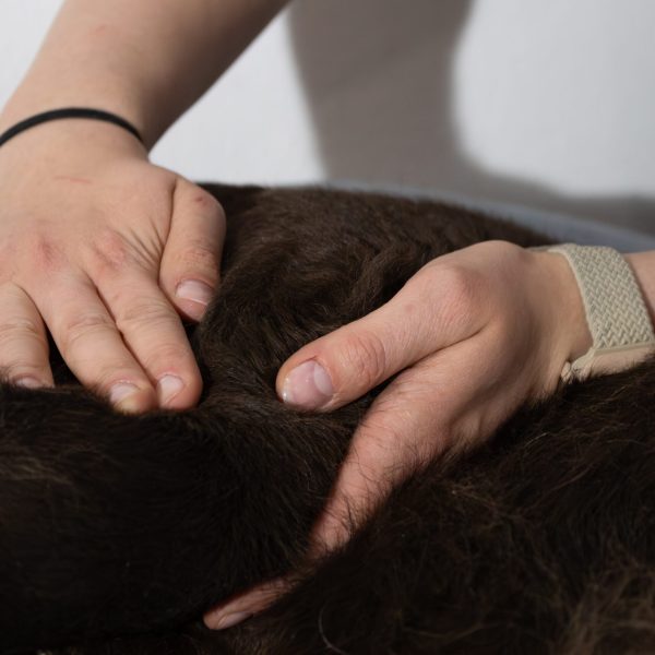 Massage IsiBalance